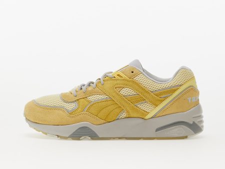 Puma R698 Minerals Pale Lemon-Glacier Gray