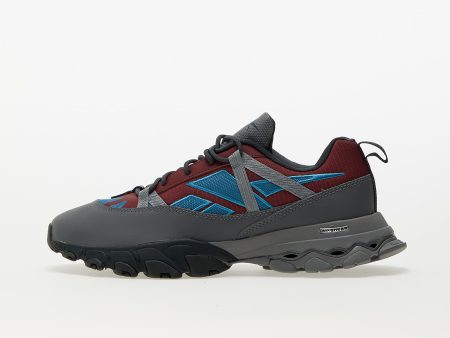 Reebok Reebok DMX Trail Shadow Classic Burgundy/ Steel Blue/ CDGRY7