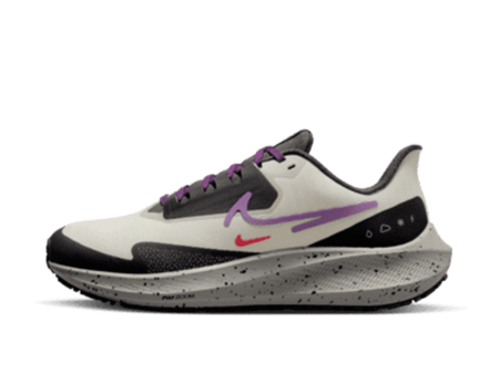 WMNS NIKE AIR WINFLO 9 SHIELD