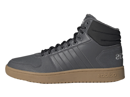 HOOPS 2.0 MID