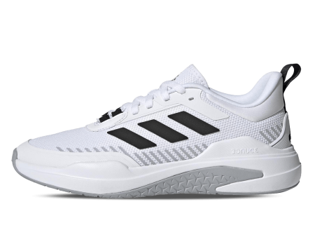 TRAINER V