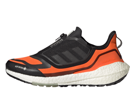 ULTRABOOST 22 GTX