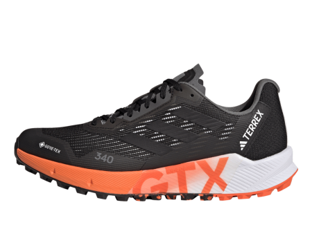 TERREX AGRAVIC FLOW 2 GTX