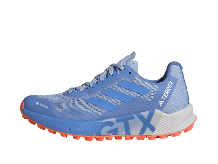 TERREX AGRAVIC FLOW 2 GTX W