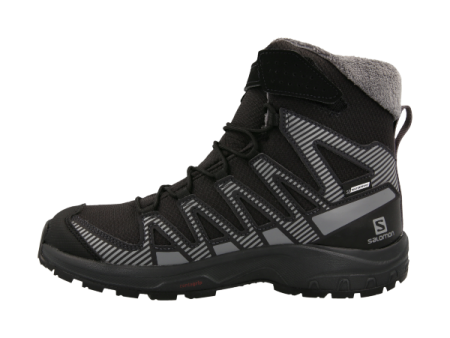 XA PRO V8 WINTER CSWP J