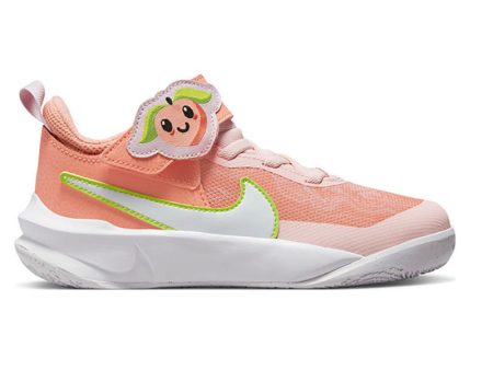 Pantofi sport Nike Team hustle D 10 LIL PS